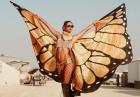 Alessandra Ambrosio cudownym motylem
