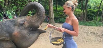 Dajana Gudic karmi słonia