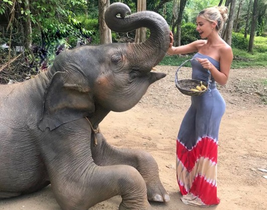 Dajana Gudic karmi słonia