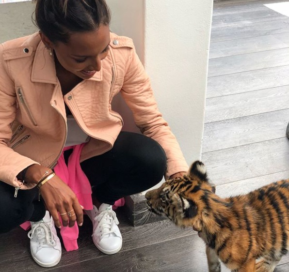 Jasmine Tookes zabawia się z tygryskiem