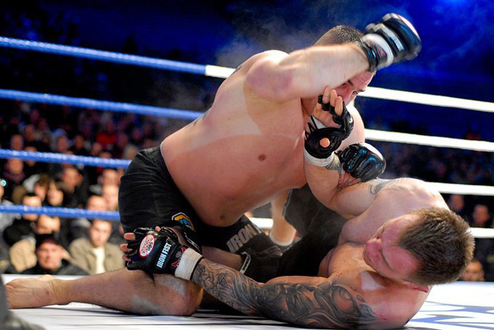Omielańczuk vs Johnson na gali UFC w Londynie
