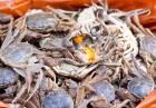 W Chinach kupisz żywe kraby z automatu