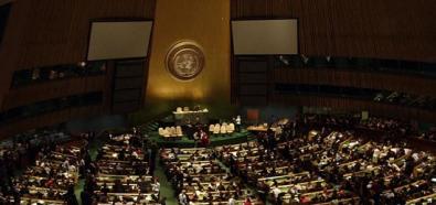 Nowi niestali członkowie Rady Bezpieczeństwa ONZ