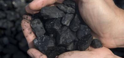 Polskie górnictwo nie obejdzie się bez prywatyzacji