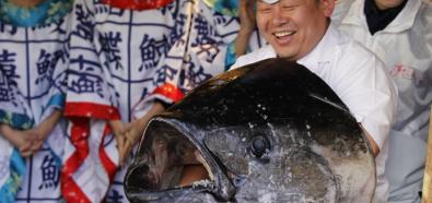 269-kilogramowy tuńczyk kupiony za ok. 2,5 mln zł