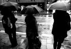Deszczową opłatę wprowadza coraz więcej miast