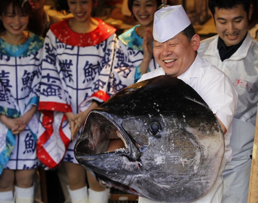 269-kilogramowy tuńczyk kupiony za ok. 2,5 mln zł