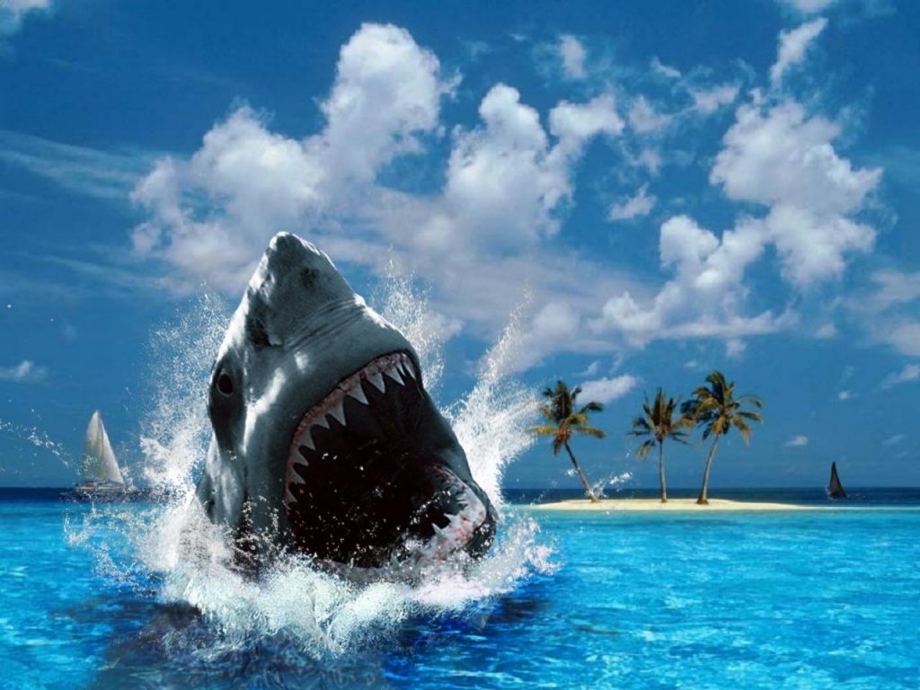 Ataki rekinów na ludzi - 10 najsłynniejszych historii