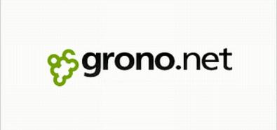 serwis społecznościowy Grono.net