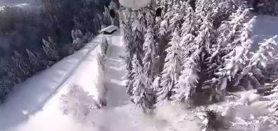 Odśnieżanie drzew w Alpach