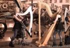 Harf Twins