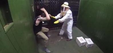 Atak pszczół