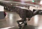 Atak dinozaura na parkingu