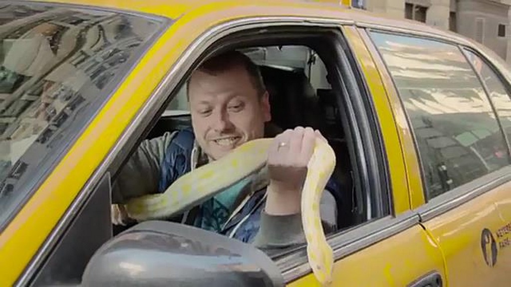 Wąż w taksówce