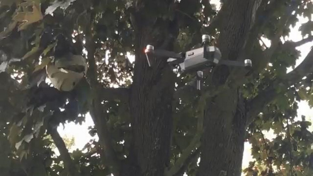 Gniazdo szerszeni vs dron