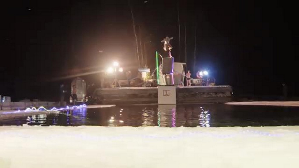 Morsy skaczą z huśtawki
