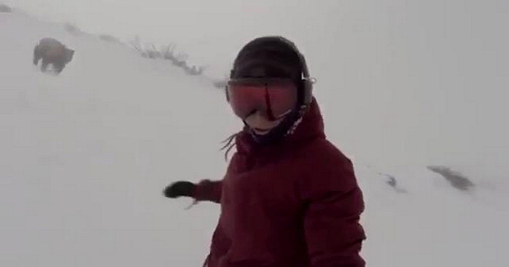 Snowboardzistka vs niedźwiedź