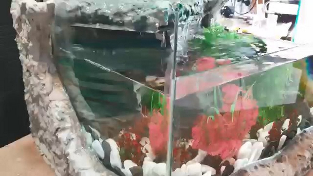 Akwarium w skale