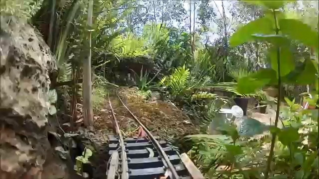 Mini pociągi w ogrodzie
