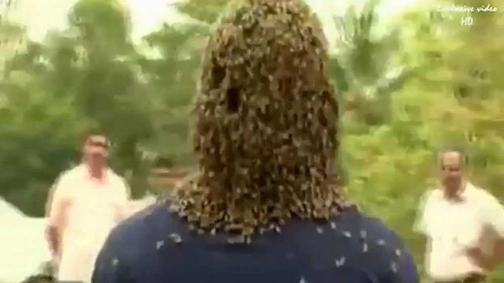 Twarz w pszczołach