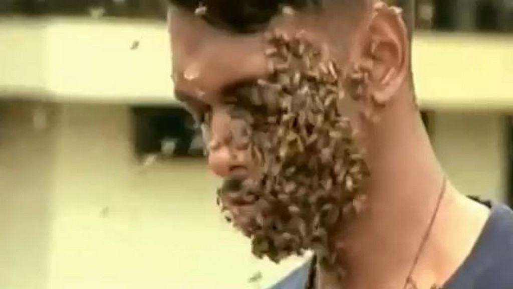 Twarz w pszczołach