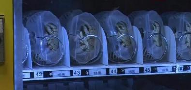Japoński automat z krabami
