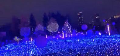 Iluminacja świąteczna w Tokio