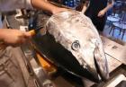 Tuńczyk w japońskiej restauracji