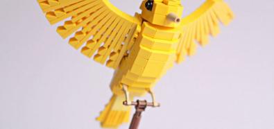 Ptaki LEGO