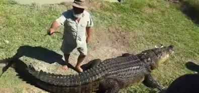 Przejażdżka na krokodylu