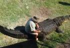 Przejażdżka na krokodylu