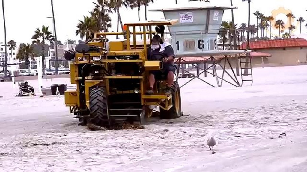 Maszyny sprzątające plażę