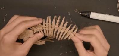 Szkielet z długopisu 3D