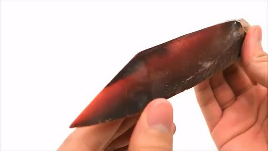 Nóż z ryby