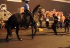 Tańczący koń policyjny
