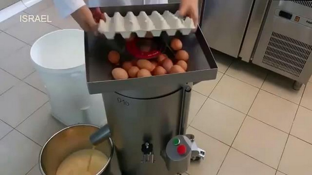 Jaja w przemyśle
