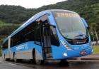 Brazylia autobusy
