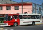 Brazylia autobusy
