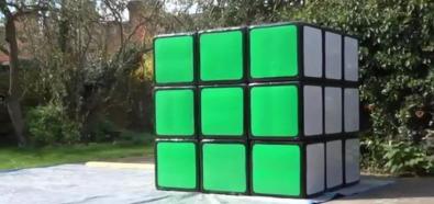 Największa Kostka Rubika na świecie