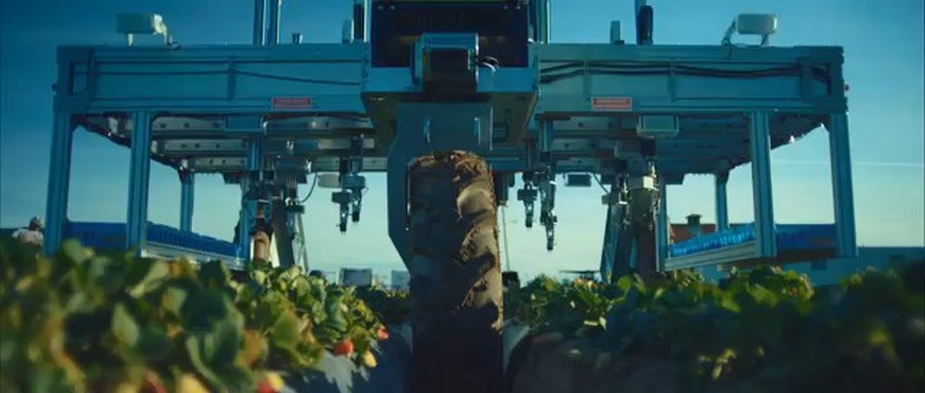 Robot do zbioru truskawek