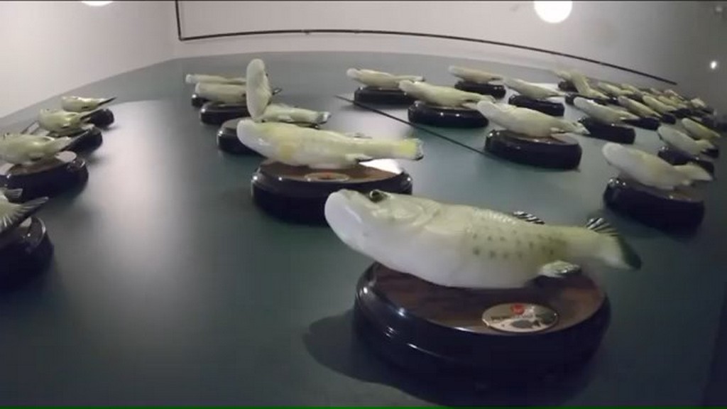 Śpiewające ryby