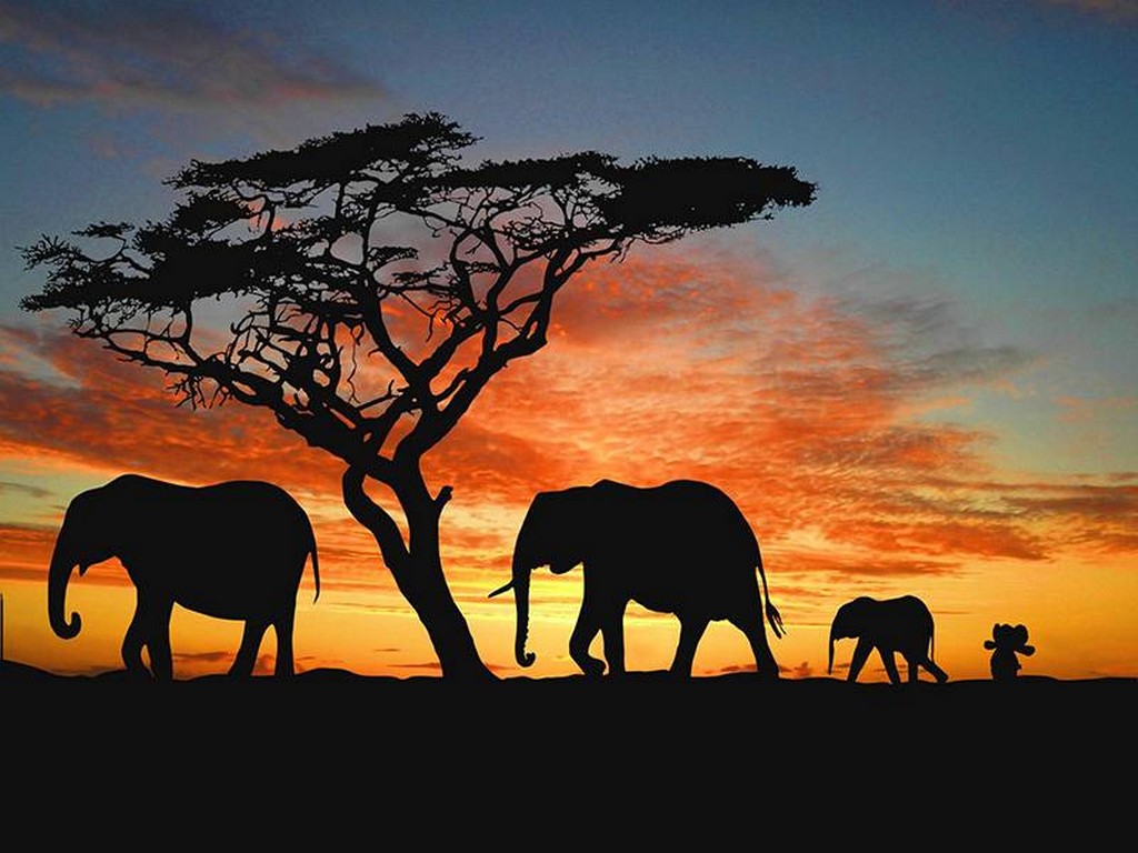 Pluszowy słonik w podróży