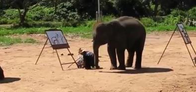 Słoń maluje