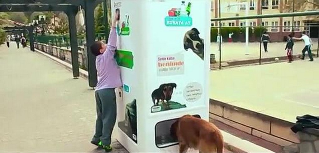 Automat dla bezdomnych zwierząt