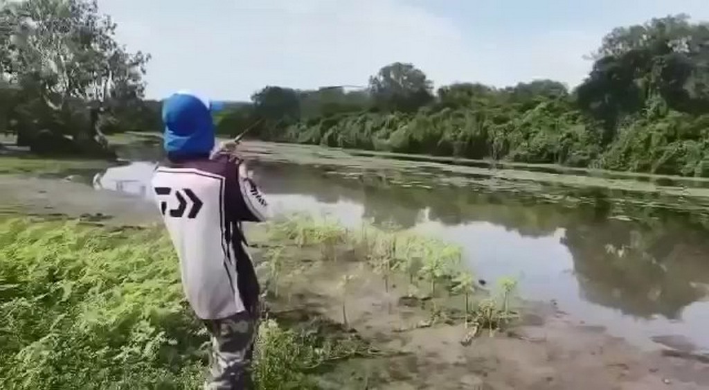 Krokodyl kradnie rybę