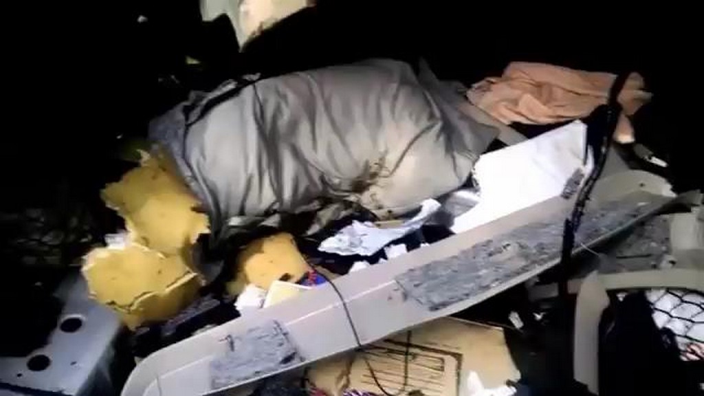 Niedźwiadek demoluje wnętrze samochodu