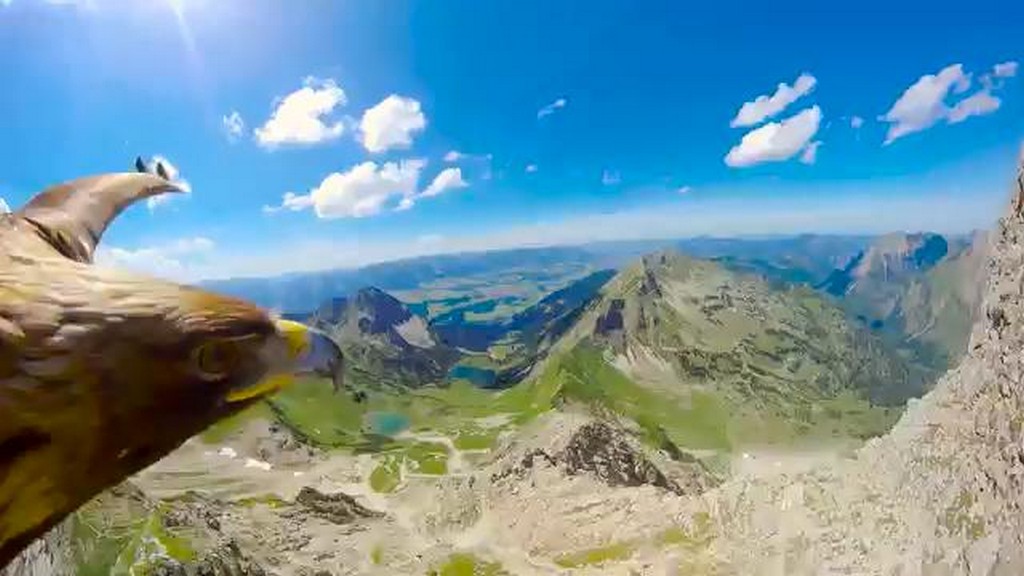 Orzeł nad Alpami
