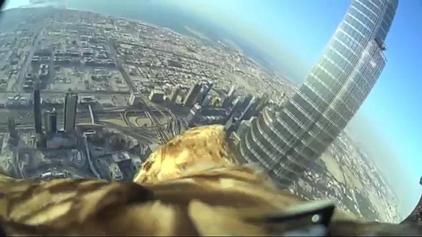 Orzeł nad Dubajem