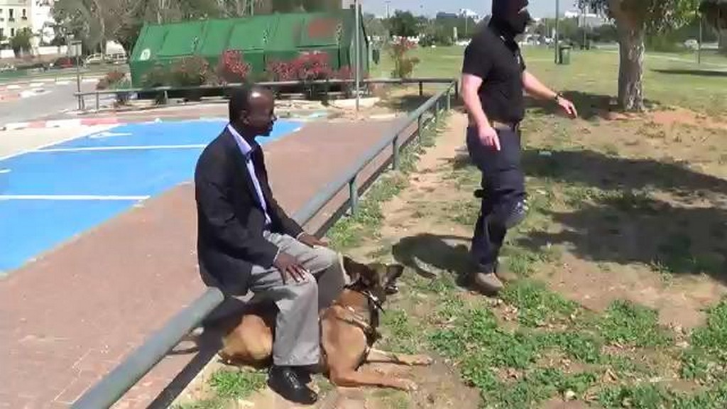 Psi ochroniarz w akcji