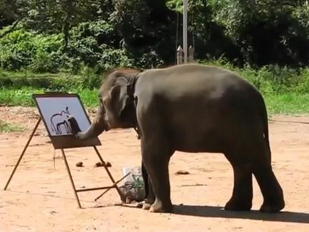 Słoń maluje